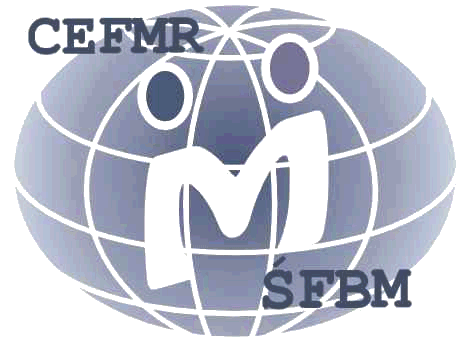 Nasz Partner